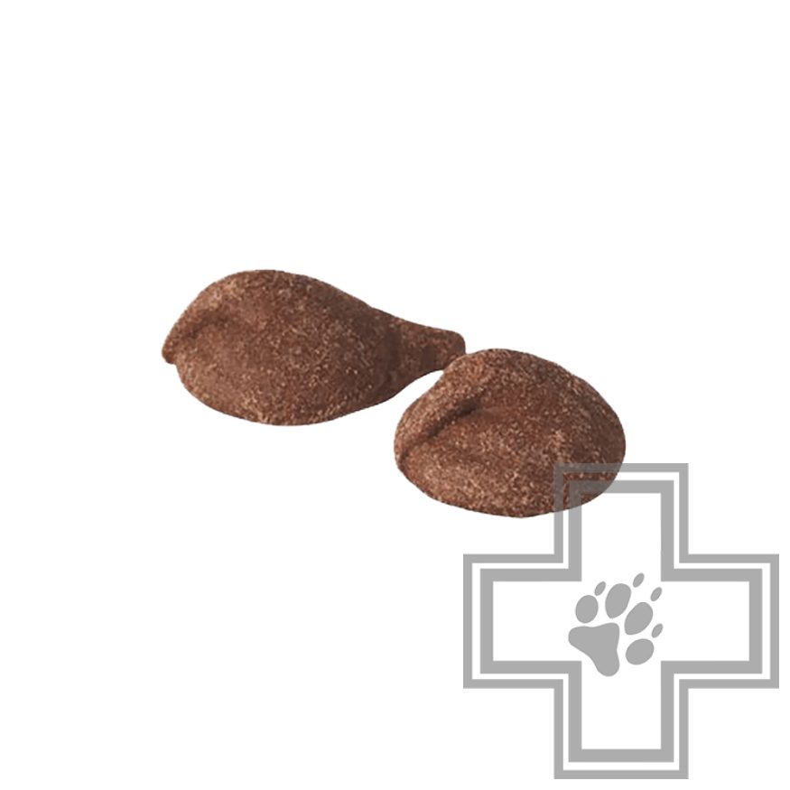 SANAL Choco Drops Шоколадные дропсы для собак SANAL Choco Drops Шоколадные дропсы для собак