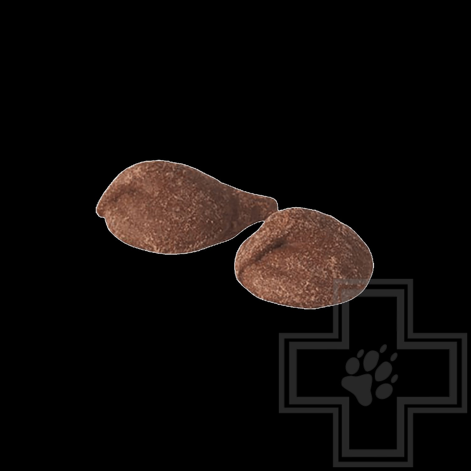 SANAL Choco Drops Шоколадные дропсы для собак