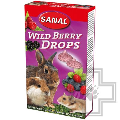 SANAL Wild Berry Drops Дропсы с лесными ягодами для грызунов