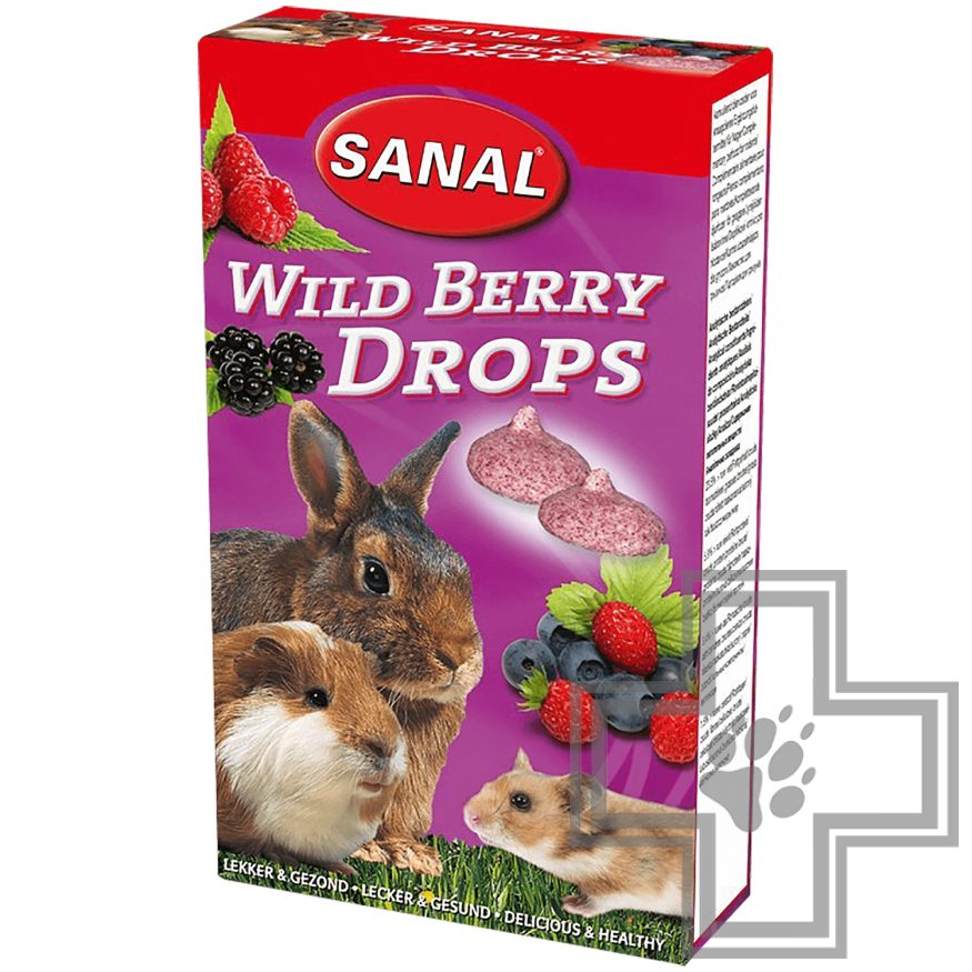 SANAL Wild Berry Drops Дропсы с лесными ягодами для грызунов