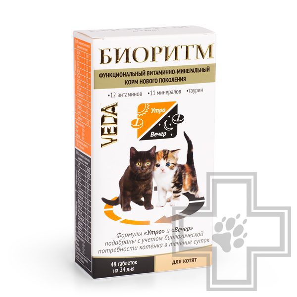 Биоритм для котят