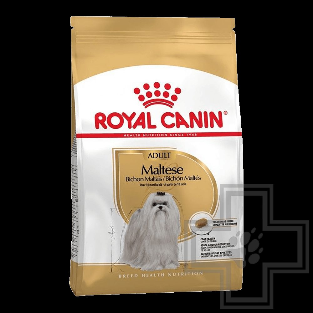 Royal Canin Maltese Adult