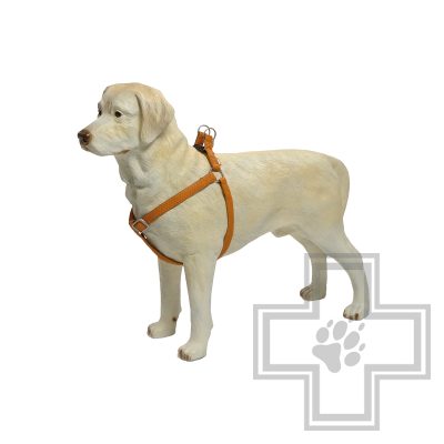 Beeztees Шлейка MacLeather, 15 мм