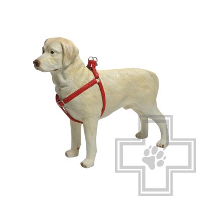 Beeztees Шлейка MacLeather, 20 мм