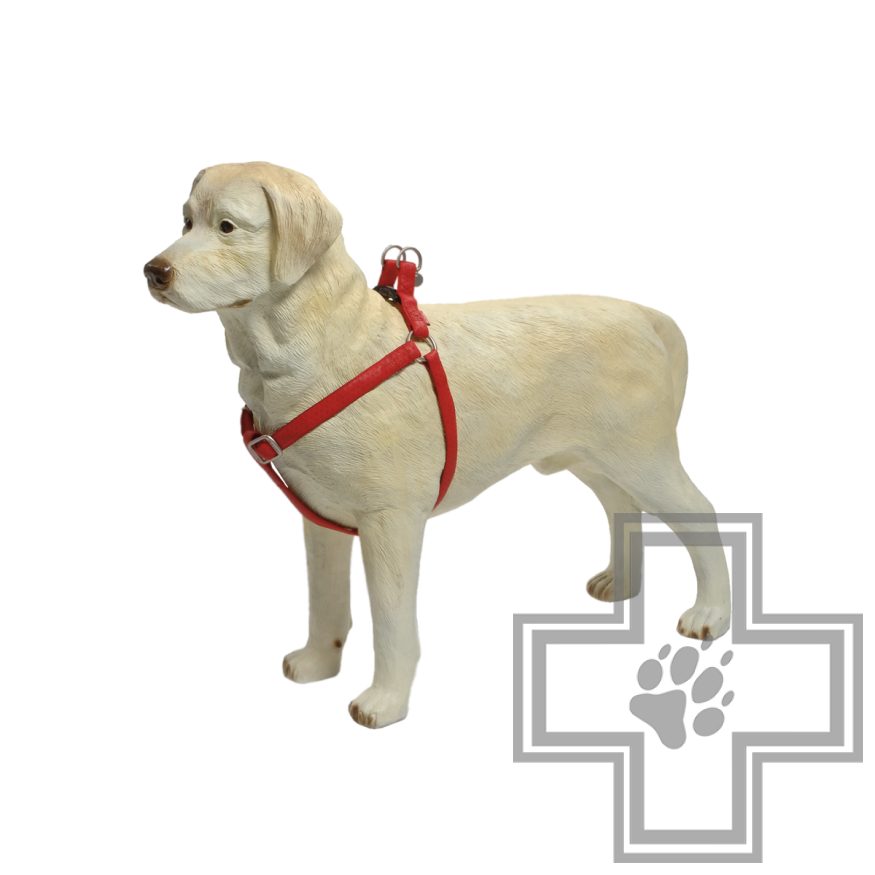 Beeztees Шлейка MacLeather, 20 мм Beeztees Шлейка MacLeather, 20 мм