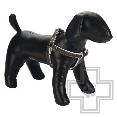 Beeztees Шлейка Virante, 20 мм