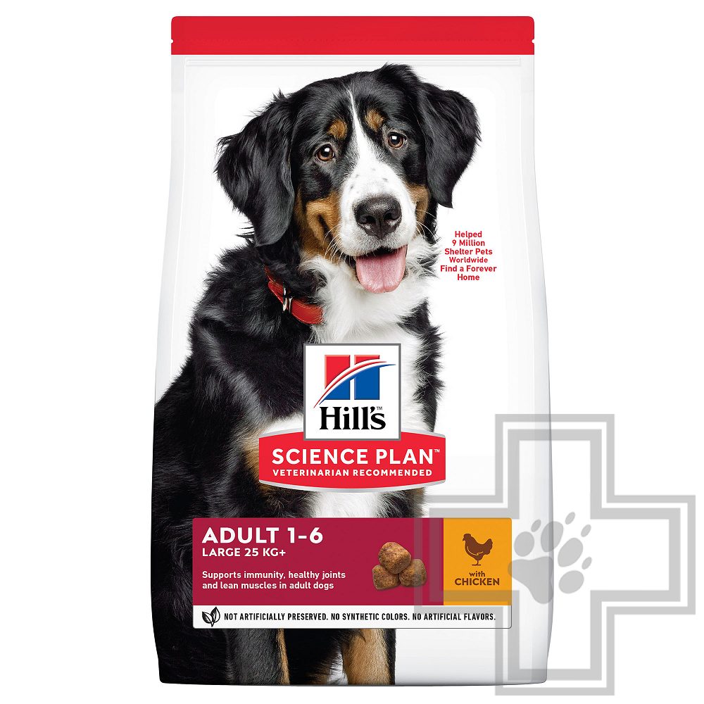 Hill's SP Корм для взрослых собак крупных пород с курицей