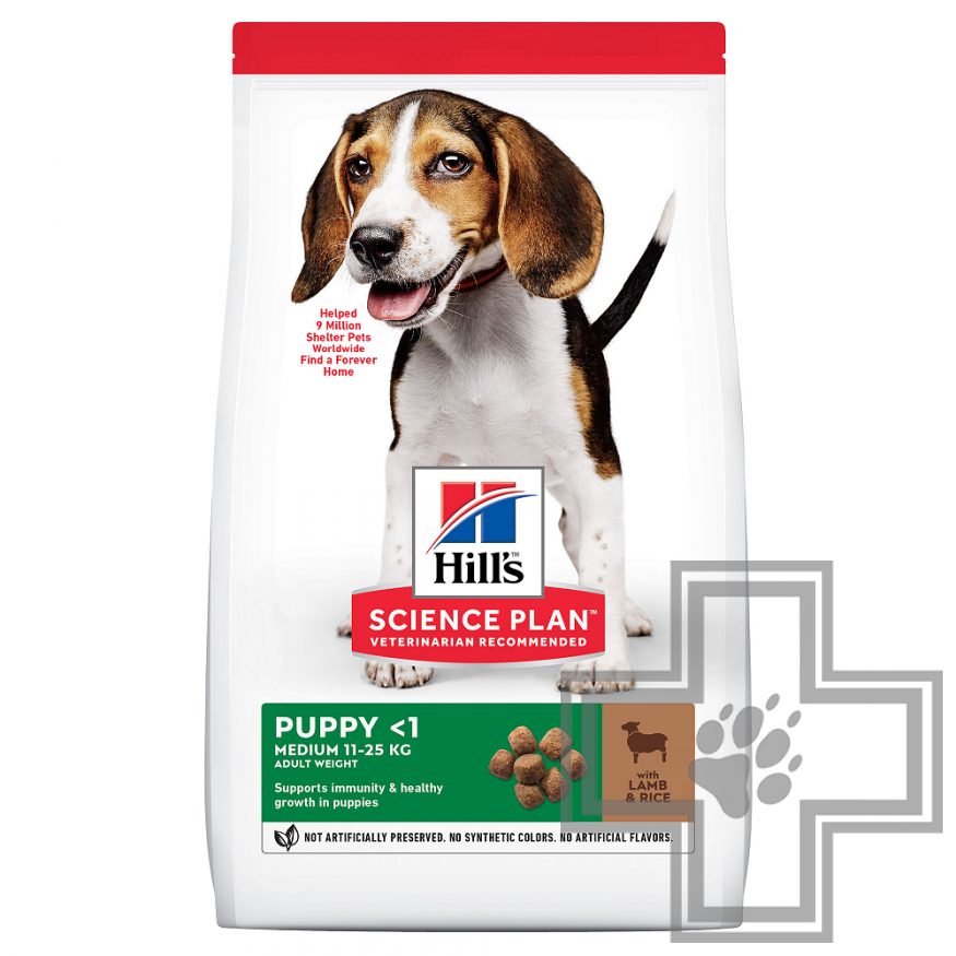 Hill's SP Корм для щенков средних пород с ягненком и рисом