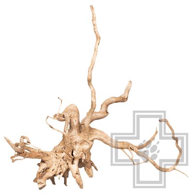 PRIME Декорация природная "Коряга сакура", S