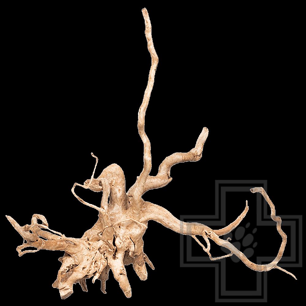 PRIME Декорация природная "Коряга сакура", S