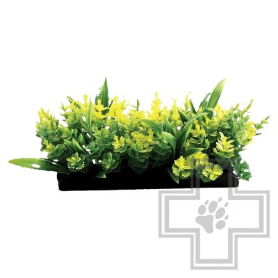 Laguna Композиция из аквариумных растений LD1148