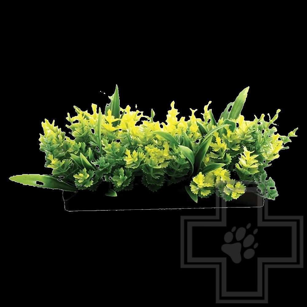 Laguna Композиция из аквариумных растений LD1148