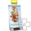 Tetra DecoArt Plantastics Red Ludwigia Пластмассовое растение