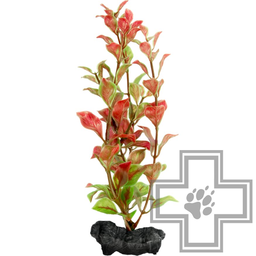 Tetra DecoArt Plantastics Red Ludwigia Пластмассовое растение Tetra DecoArt Plantastics Red Ludwigia Пластмассовое растение