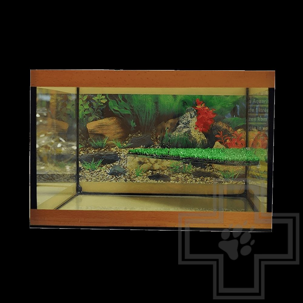 Аквариум для черепах с островом