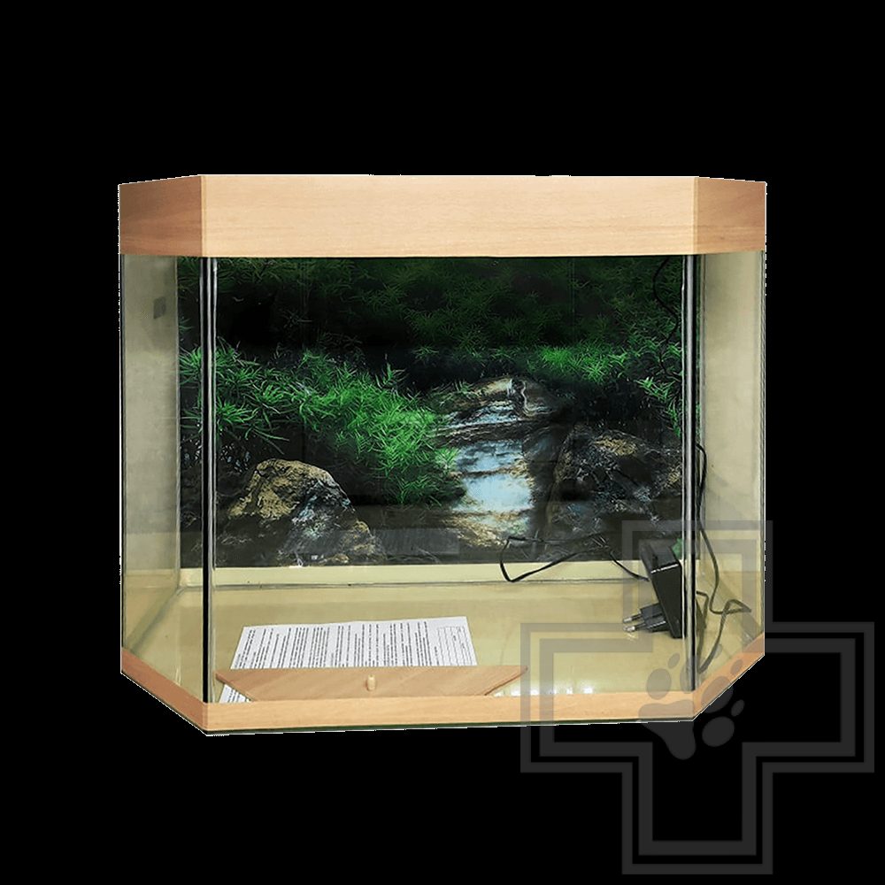 Аквариум Панорама