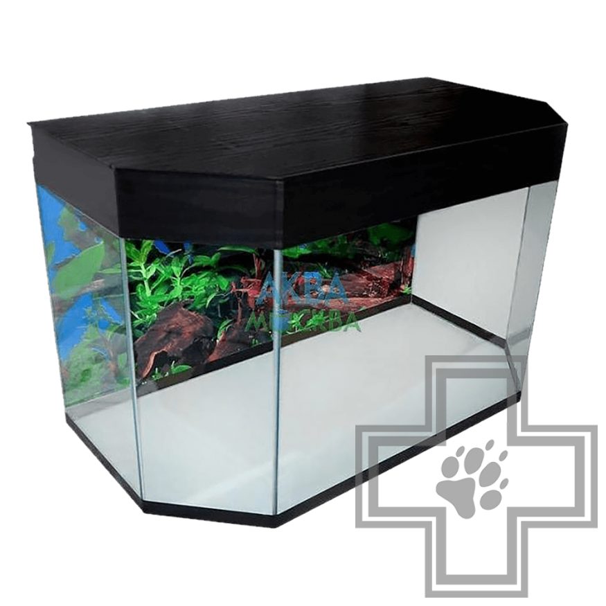 Аквариум Панорама Аквариум Панорама