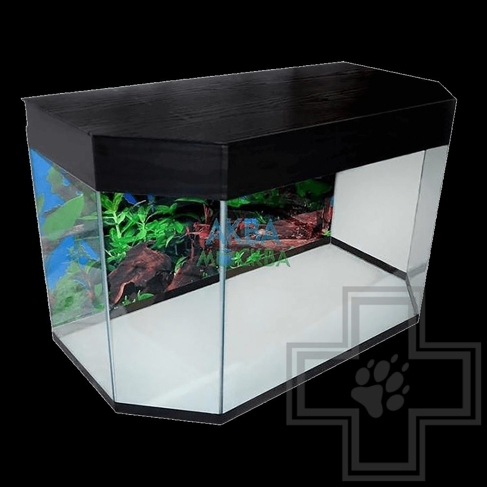 Аквариум Панорама