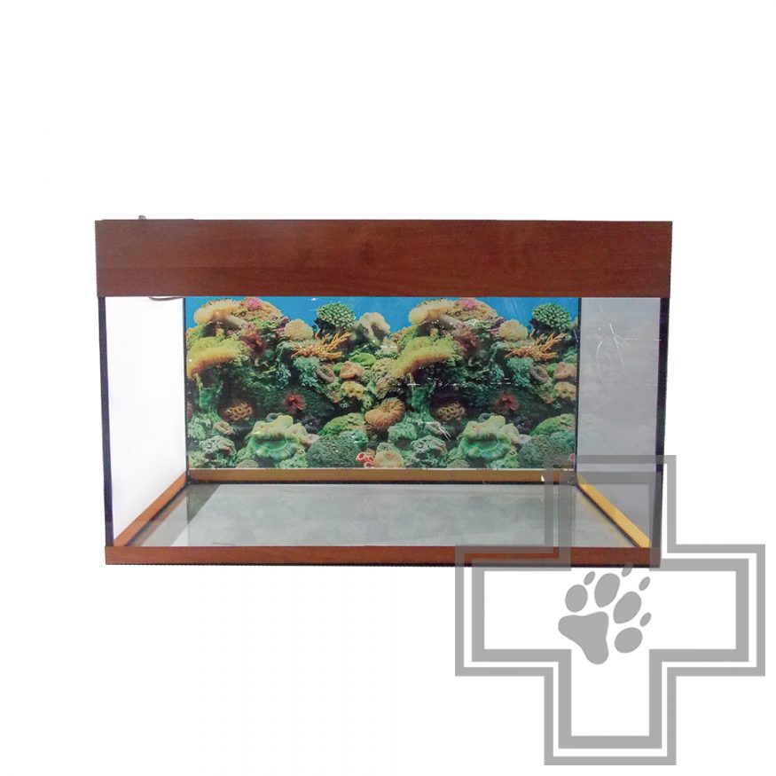 Аквариум прямоугольный с освещением Аквариум прямоугольный с освещением