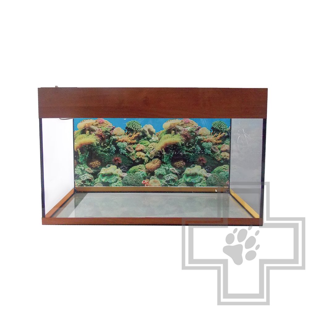 Аквариум прямоугольный с освещением