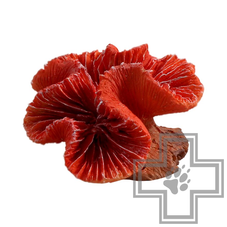 LAGUNA Коралл искусственный LD2901 Каталофиллия красная