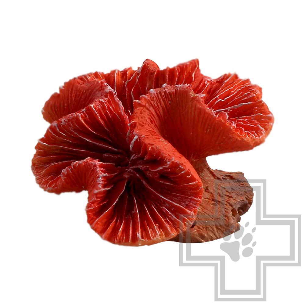 LAGUNA Коралл искусственный LD2901 Каталофиллия красная