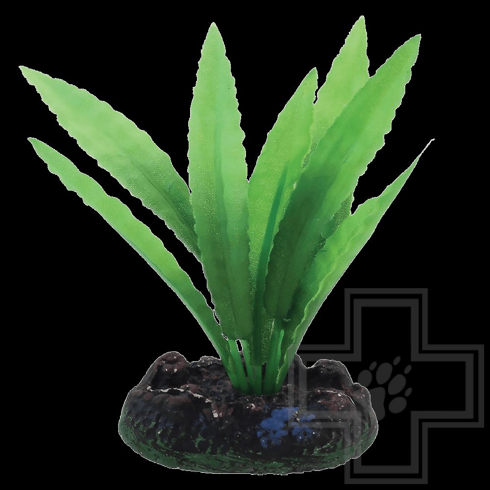 Laguna Растение шелковое Апоногетон