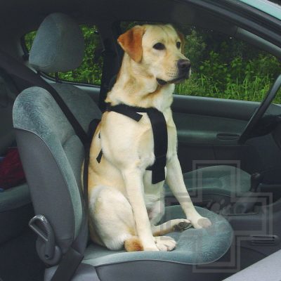 Beeztees Шлейка для выгула и пристегивания собак в автомобиле, размер S