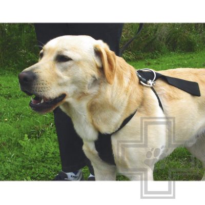 Beeztees Шлейка для выгула и пристегивания собак в автомобиле, размер S