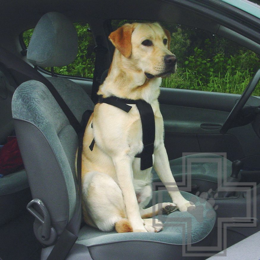 Beeztees Шлейка для выгула и пристегивания собак в автомобиле, размер XL