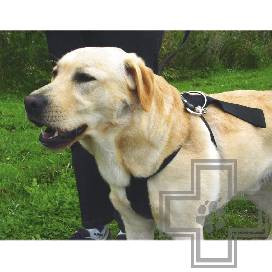 Beeztees Шлейка для выгула и пристегивания собак в автомобиле, размер XL