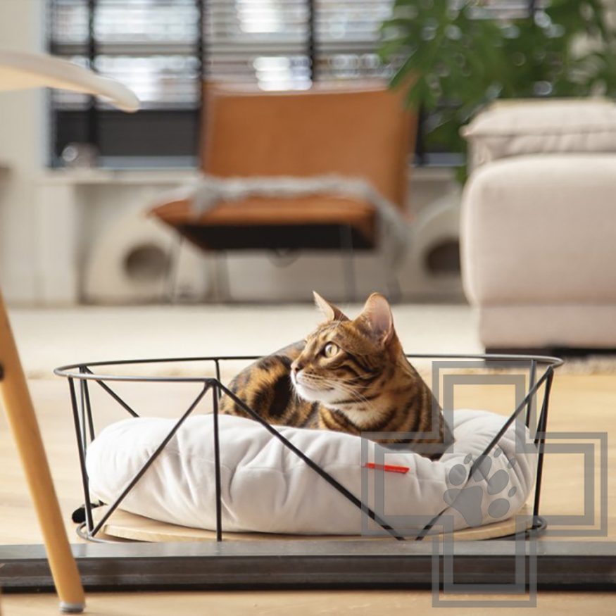 Beeztees Корзина для кошек с подушкой Kipu Beeztees Корзина для кошек с подушкой Kipu