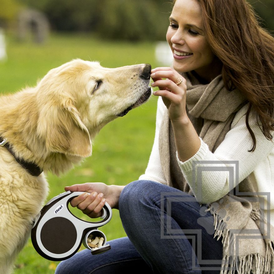 Flexi Мульти Бокс для рулетки Flexi Мульти Бокс для рулетки