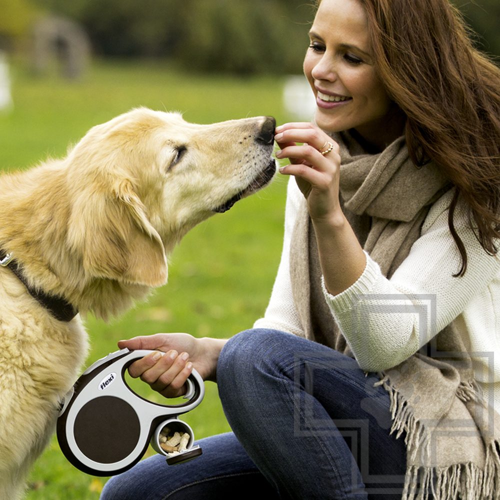 Flexi Мульти Бокс для рулетки