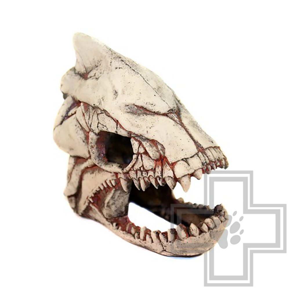 DekSi Грот Скелет рыбы №902