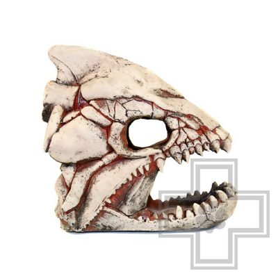 DekSi Грот Скелет рыбы №902