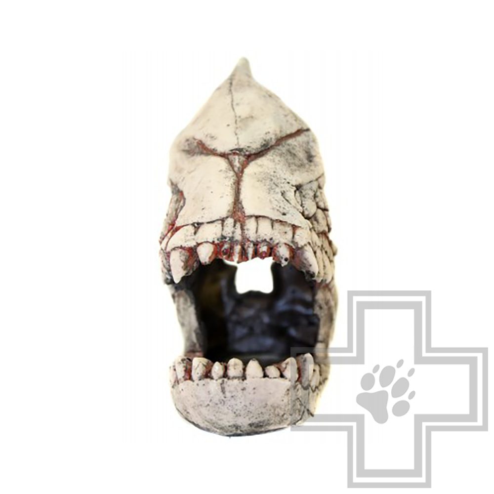 DekSi Грот Скелет рыбы №902