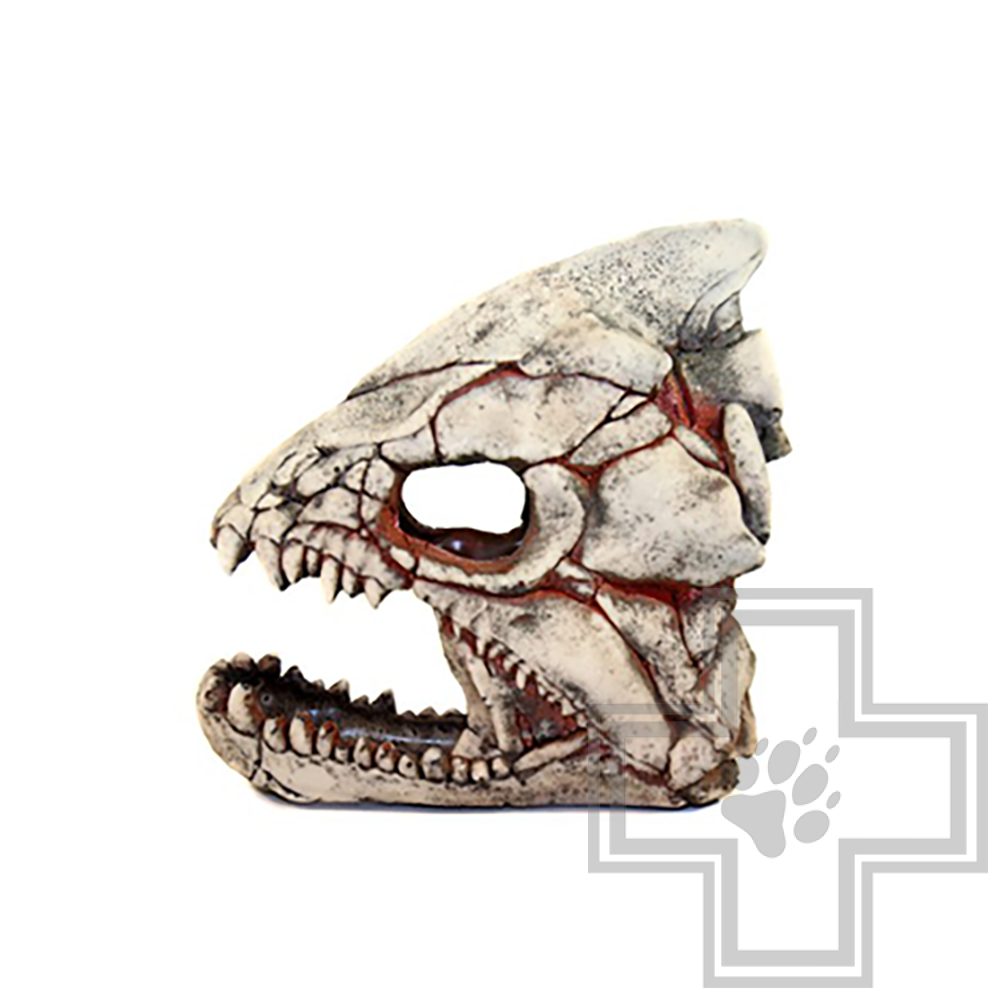 DekSi Грот Скелет рыбы №902