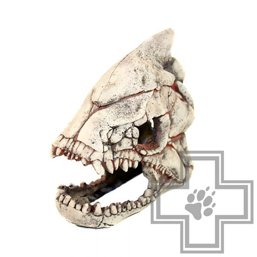 DekSi Грот Скелет рыбы №902 DekSi Грот Скелет рыбы №902