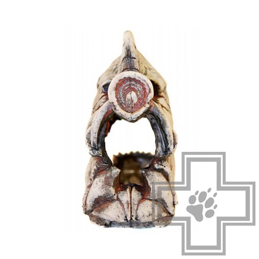 DekSi Грот Скелет рыбы №902 DekSi Грот Скелет рыбы №902