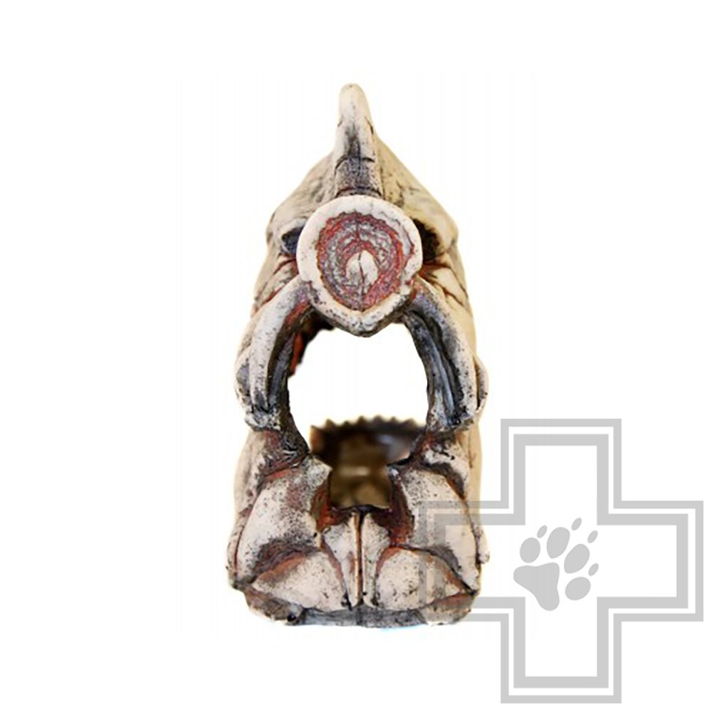 DekSi Грот Скелет рыбы №902