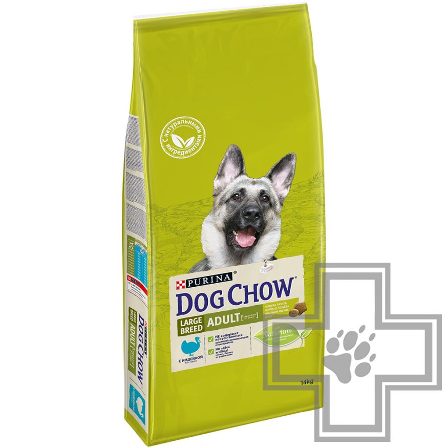 dog chow large breed