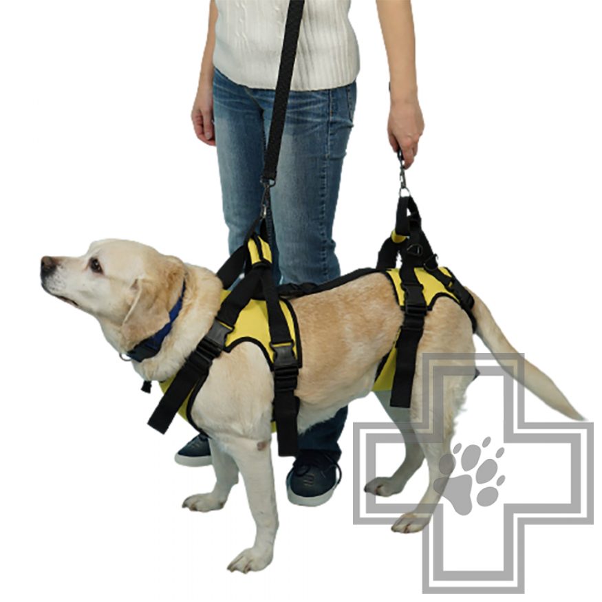 VEDA Сборная поддержка для собак VEDA Сборная поддержка для собак