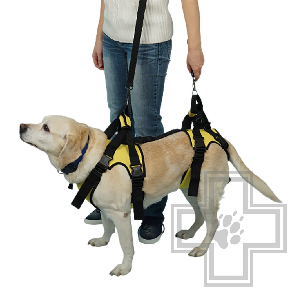 VEDA Сборная поддержка для собак