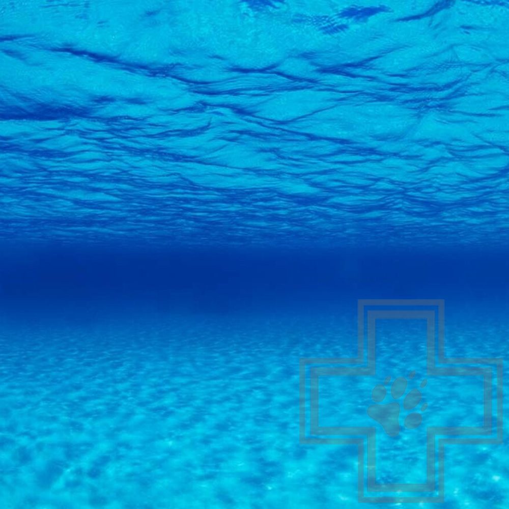 BARBUS Фон двухсторонний Морская лагуна/Натуральная мистика (цена за 1 метр)