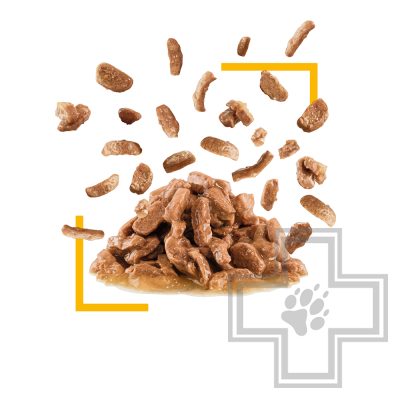 Royal Canin Sensory Taste