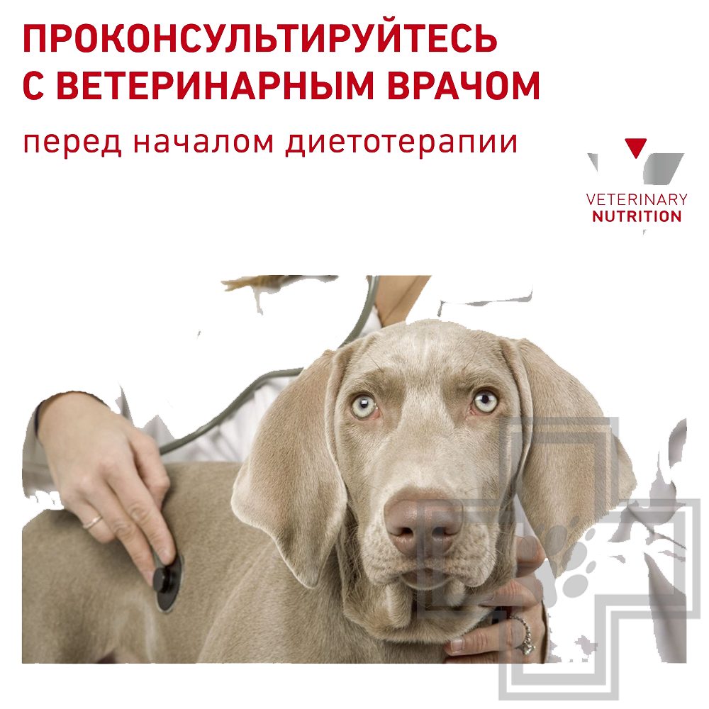 Royal Canin Cardiac