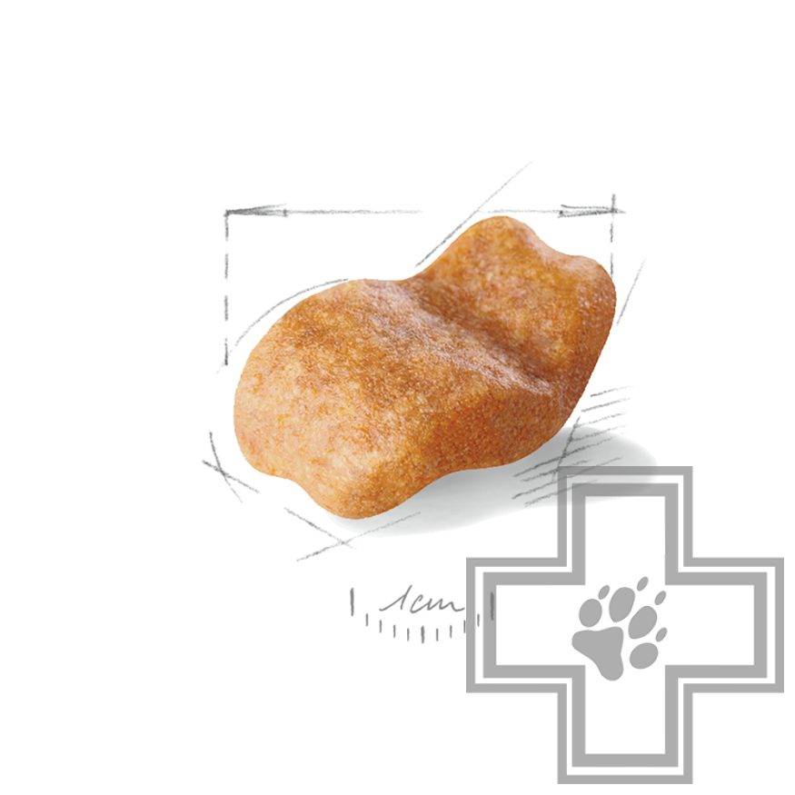 Royal Canin Bulldog Adult Royal Canin Bulldog Adult