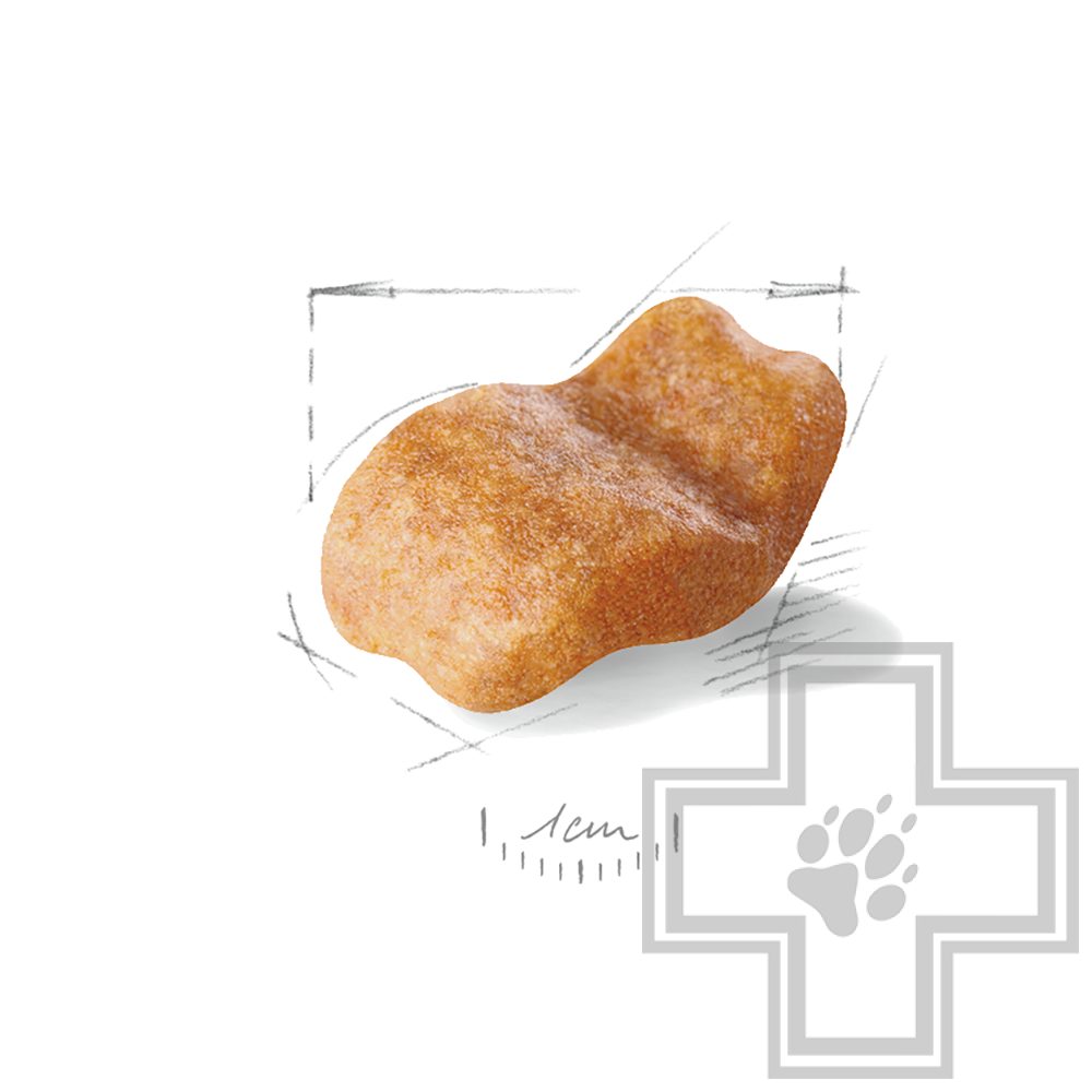 Royal Canin Bulldog Adult