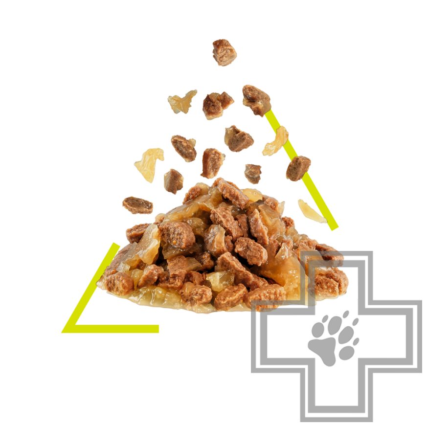 Royal Canin Sensory Smell Royal Canin Sensory Smell
